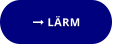  LÄRM