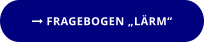  FRAGEBOGEN „LÄRM“