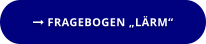  FRAGEBOGEN „LÄRM“