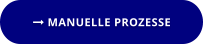  MANUELLE PROZESSE