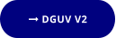  DGUV V2