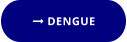  DENGUE