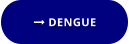  DENGUE
