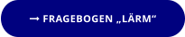  FRAGEBOGEN „LÄRM“