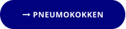  PNEUMOKOKKEN