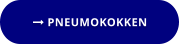  PNEUMOKOKKEN