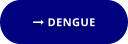  DENGUE